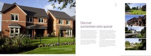 rolleston on dove brochure sm.jpg